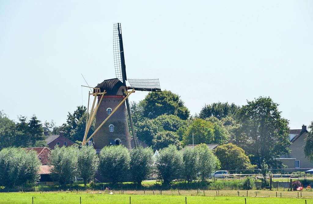 3, Molen 02591 Zeldenrust (Hooge Zwaluwe), Rob Pols (19-7-2016) | Database Nederlandse molens