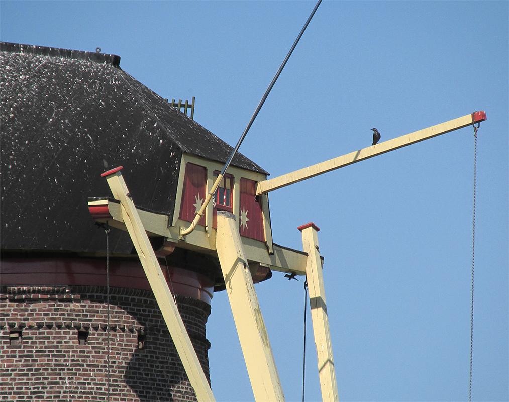 6, Molen 02591 Zeldenrust (Hooge Zwaluwe), Piet Glasbergen (5-9-2013) | Database Nederlandse molens