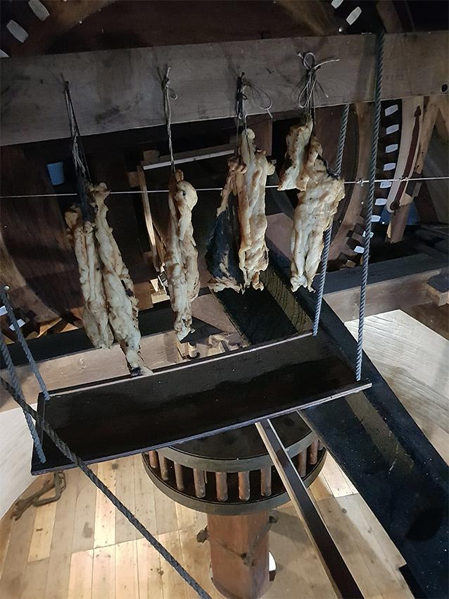 16, Molen 01642 De Lelie (Leur), Pieter Zuijkerbuijk (26-1-2019) | Database Nederlandse molens