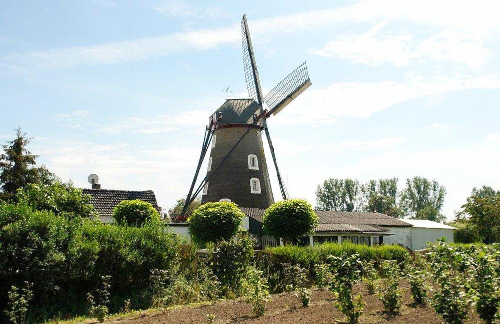 3, Molen 01561 Vogelenzang / Bettmolen (Lieshout), Frits Kruishaar (20-8-2011) | Database Nederlandse molens