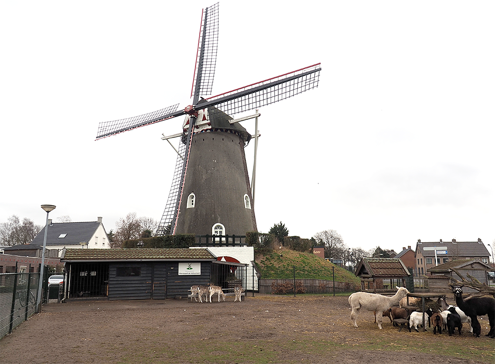 1, Molen 01583 De Volksvriend (Liessel), Rob Van Rompaey (3-2-2017) | Database Nederlandse molens