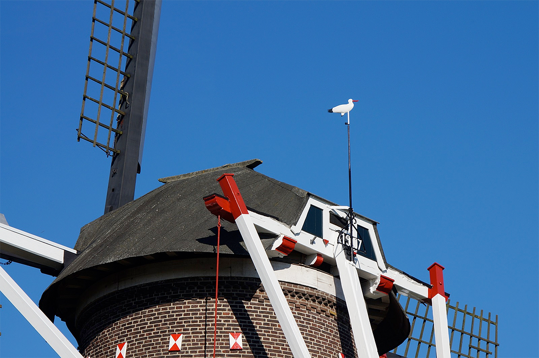 6, Molen 02476 Zeldenrust (Lith), Boukje van Leijen (30-8-2016) | Database Nederlandse molens