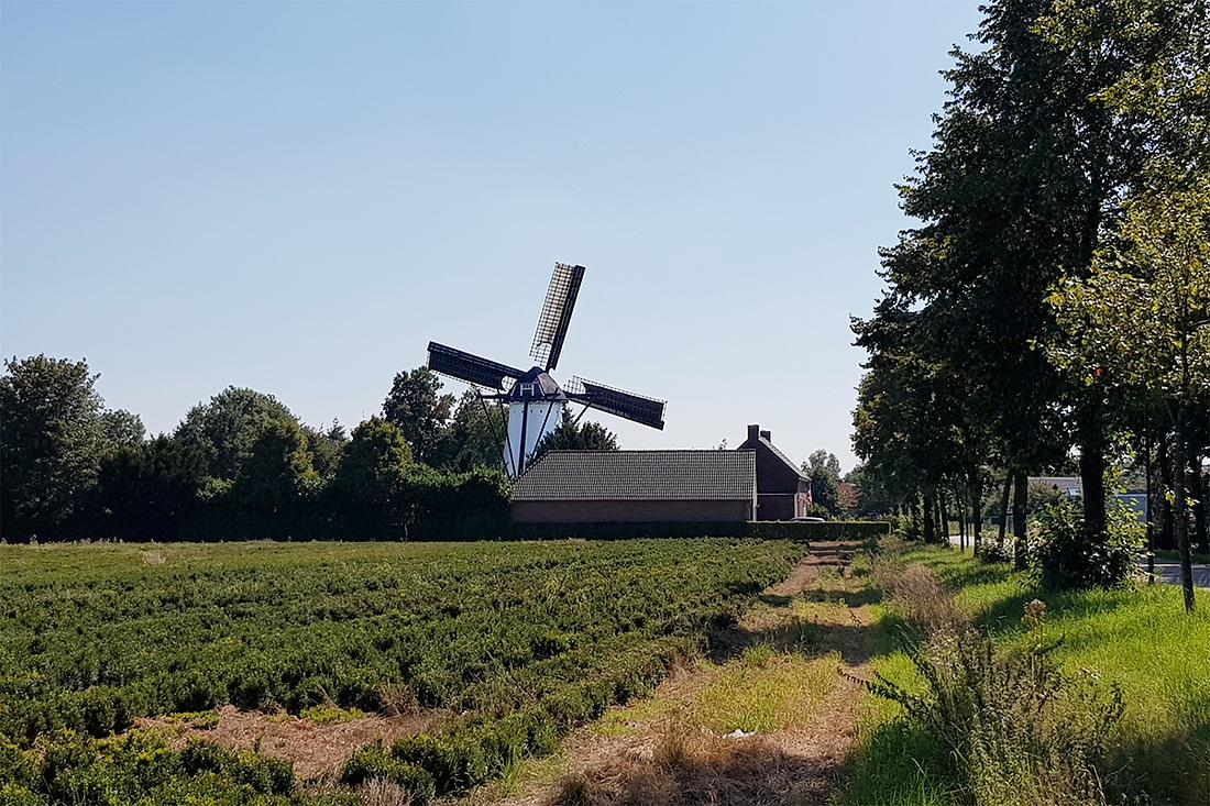3, Molen 02506 De Deen (Luyksgestel), Pieter Zuijkerbuijk (24-8-2019) | Database Nederlandse molens