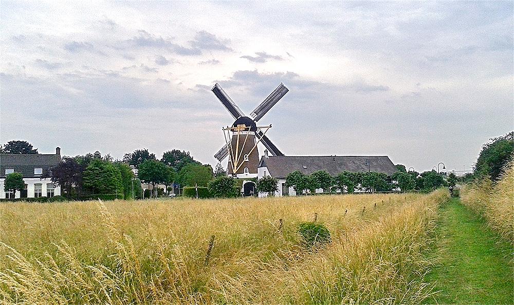 4, Molen 02004 De Hoop (Bavel), Tony Hop (26-6-2015) | Database Nederlandse molens