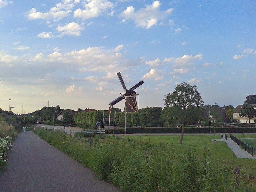6, Molen 02004 De Hoop (Bavel), Tony Hop (8-6-2014). | Database Nederlandse molens