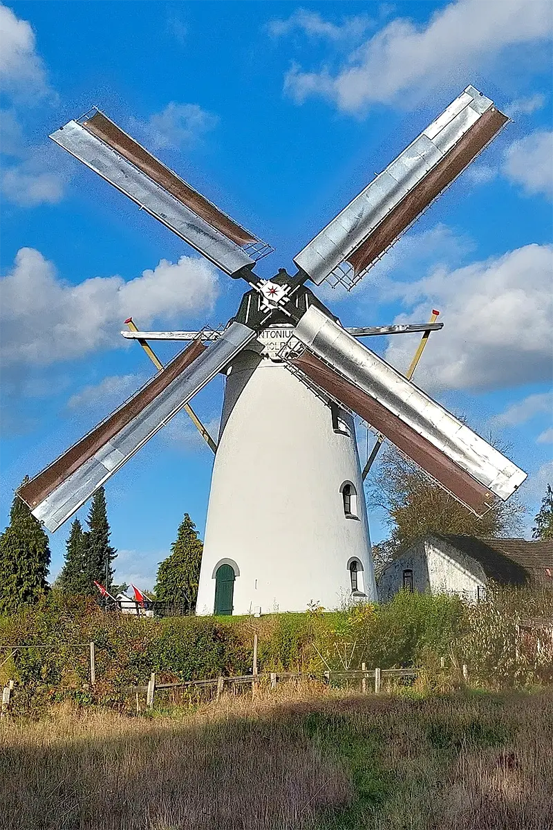 Molen 05904 Sint Antonius Abt (Borkel), Gerard Sturkenboom (2-11-2022)De molen draait met de (smalle) zeilen (behorend bij de Dekkerwieken).  | Database Nederlandse molens