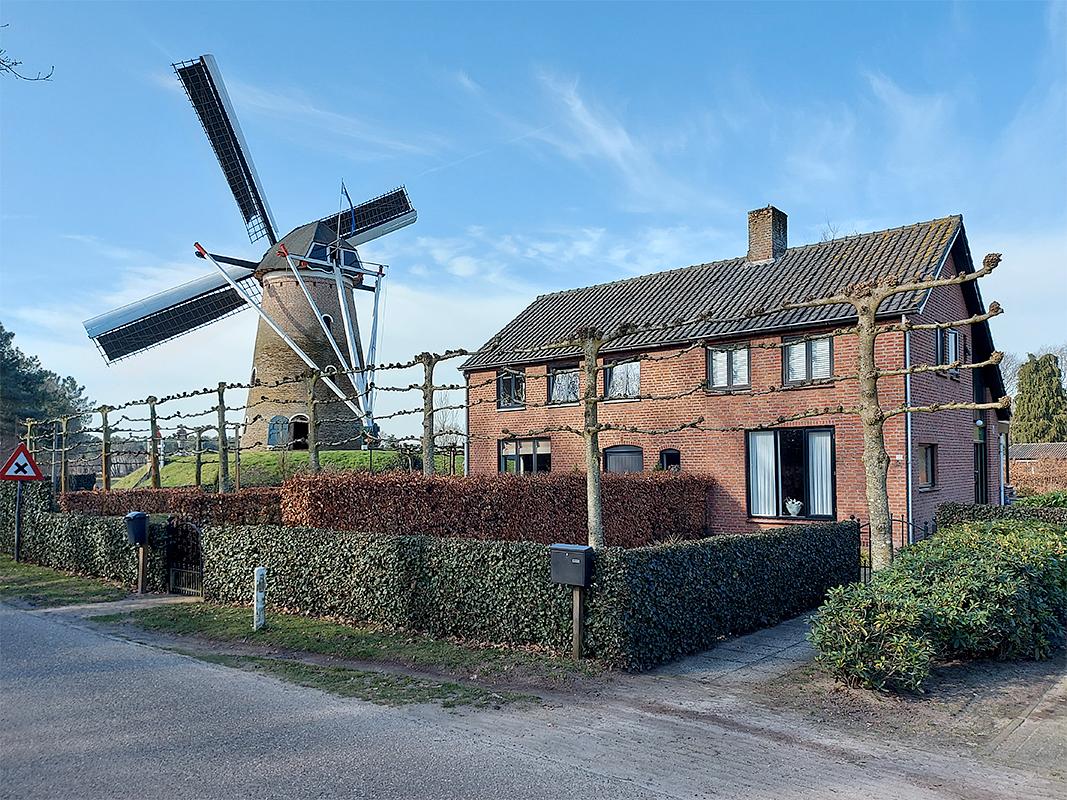 3, Molen 02652 De Heimolen (Rucphen-Bosschenhoofd), Jesse Bergquist (25-02-2021) | Database Nederlandse molens