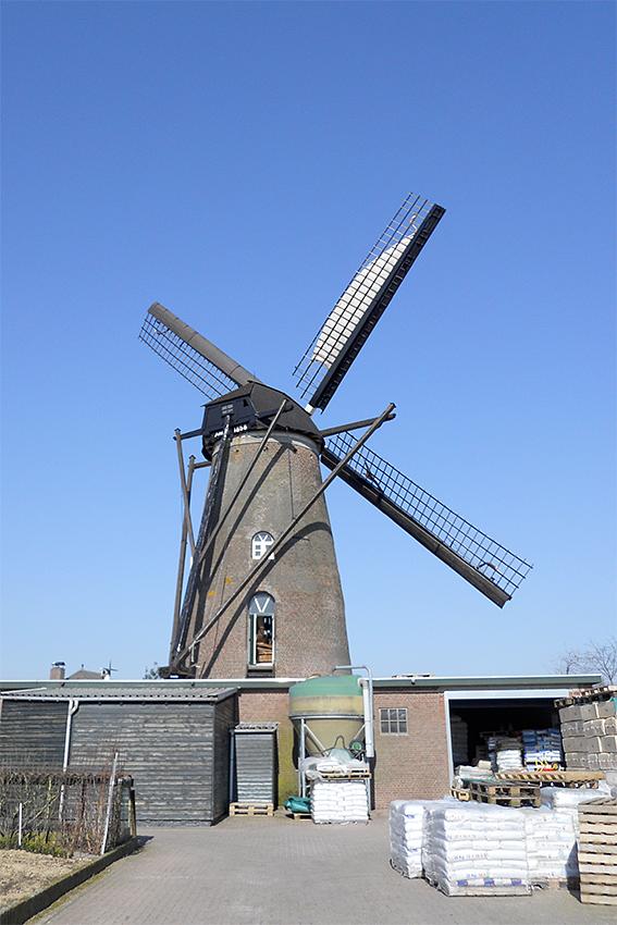 2, Molen 02858 Zeldenrust (Budel), Rob Simons (10-3-2010) | Database Nederlandse molens