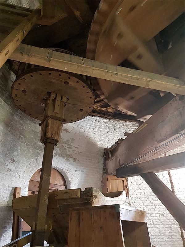 13, Molen 02593 De Hoop (Den Hout), Pieter Zuijkerbuijk (3-2-2019) | Database Nederlandse molens