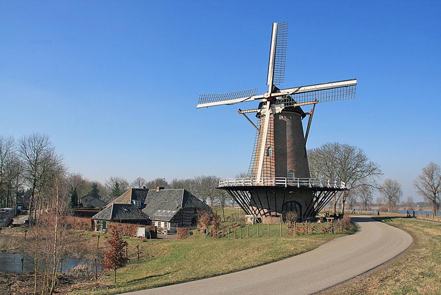 1, Molen 01219 Stella Polaris (Dieden), John Scholte (10-3-2010) | Database Nederlandse molens