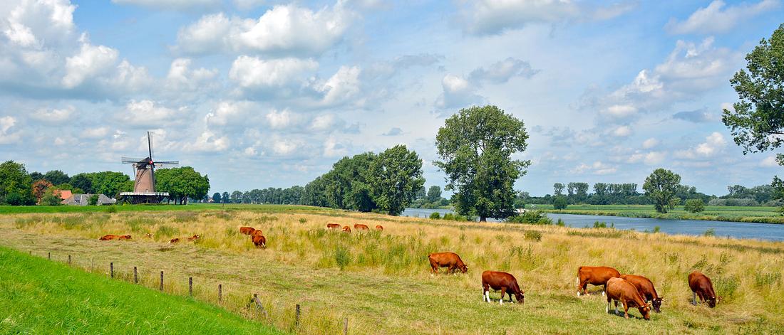 3, Molen 01219 Stella Polaris (Dieden), Eric Elbers (26-7-2015) | Database Nederlandse molens