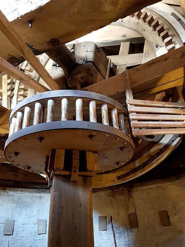 22, Molen 00370 Koningin Wilhelmina (Dongen), Pieter Zuijkerbuijk (10-8-2019) | Database Nederlandse molens