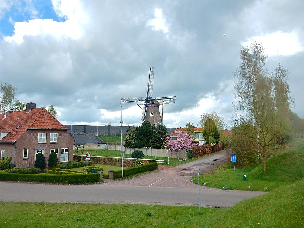 3, Molen 00378 Hertogin van Brabant (Drunen), Tony Hop (27-4-2016)De herstelde molen met het geluidsscherm (in de vorm van een grote grijze muur).  | Database Nederlandse molens
