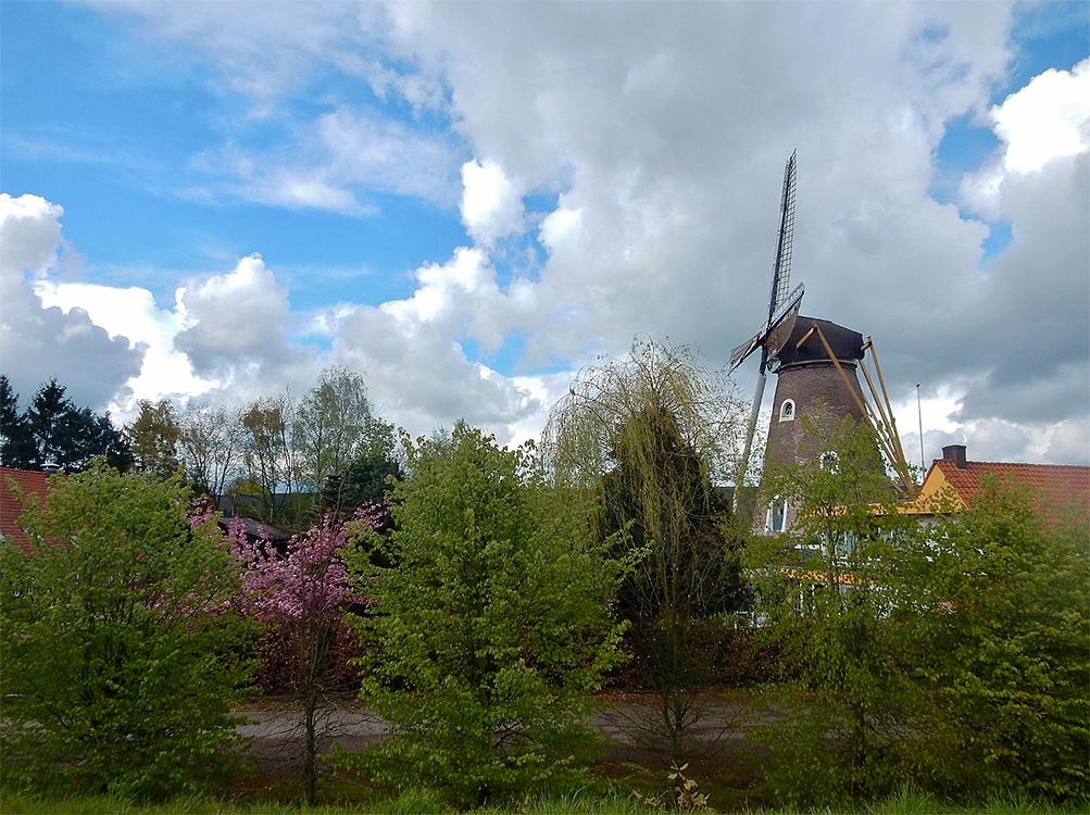 4, Molen 00378 Hertogin van Brabant (Drunen), Tony Hop (27-4-2016) | Database Nederlandse molens