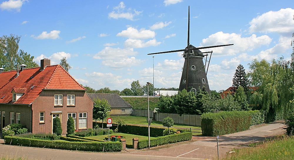 8, Molen 00378 Hertogin van Brabant (Drunen), Ton Koorevaar (9-7-2011)De nog troosteloze molen voor de restauratie, evenwel zonder het geluidsscherm.  | Database Nederlandse molens