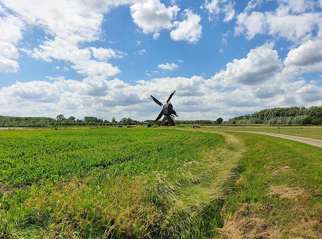 3, Molen 01187 Noordeveldse Molen / Nieuwe Molen (Dussen), Pieter Zuijkerbuijk (6-6-2020) | Database Nederlandse molens