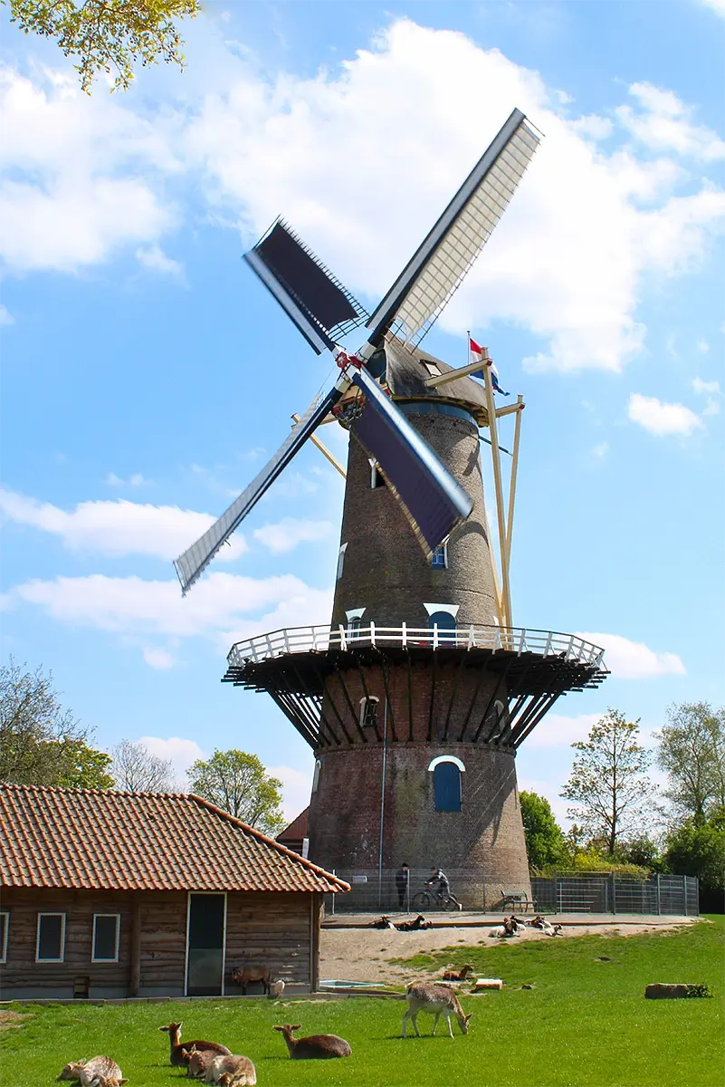 Molen 02657 De Onvermoeide (Raamsdonksveer), Tony Hop (27-04-2022)De molen is in maart 2022 voorzien van een nieuw gevlucht, hierbij is de tuigage breder uitgevoerd, net zoals vóór de onttakeling van de jaren '40 ook aanwezig was. | Database Nederlandse molens