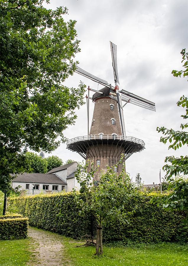 4, Molen 01220 De Nijverheid / v.h. De Raaf (Ravenstein), Jan Kraker (30-7-2021)De molen gezien vanaf de historische boomgaard | Database Nederlandse molens