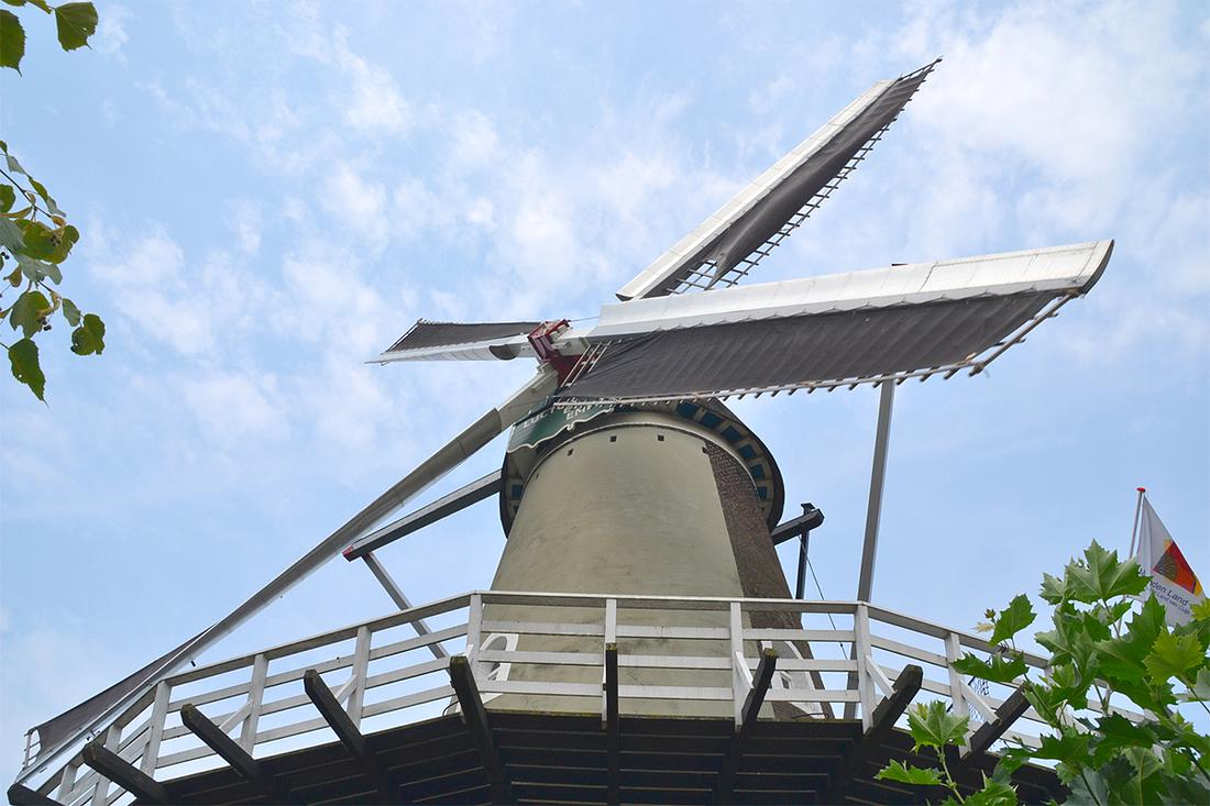 4, Molen 01949 Luctor et Emergo (Rijkevoort), Rob Pols (27-7-2019)Het wiekenkruis met het Van Bussel-wieksysteem. Let op het verschil in zeeg in het hekwerk tussen de binnen- en de buitenroede. | Database Nederlandse molens