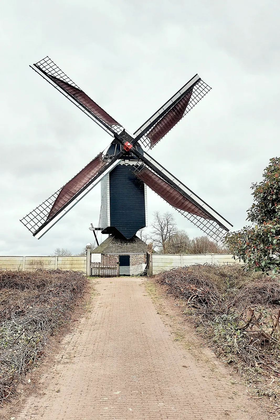 Molen 10206 De Hoop (Roosendaal), Jesse Bergquist (19-2-2023) | Database Nederlandse molens