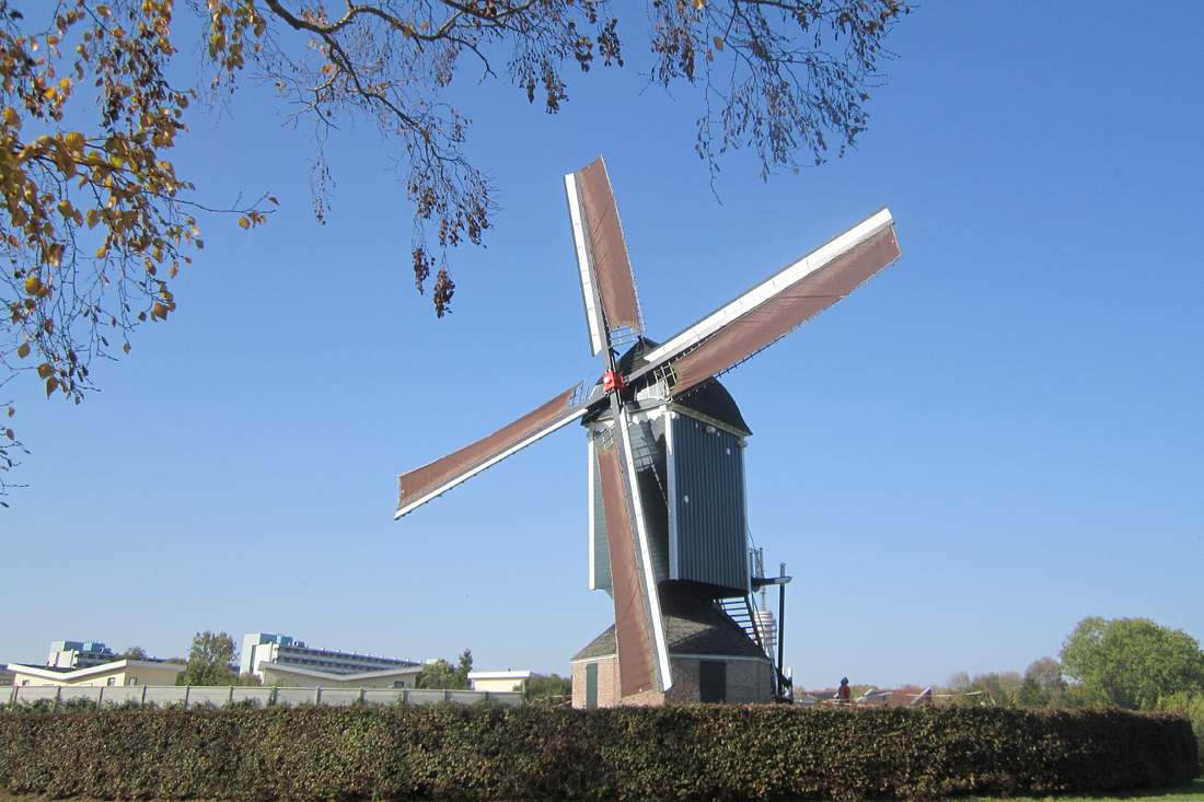 1, Molen 10206 De Hoop (Roosendaal), Jesse Bergquist (15-10-2017) | Database Nederlandse molens
