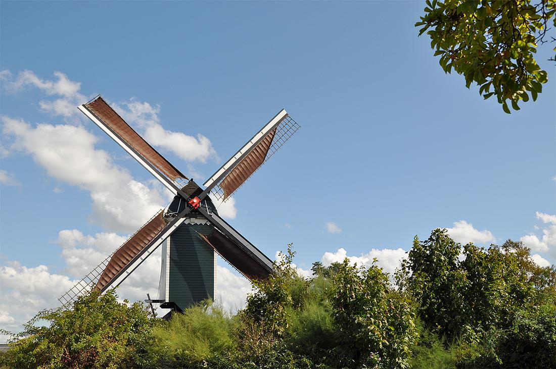 4, Molen 10206 De Hoop (Roosendaal), Jesse Bergquist (1-9-2019)De molen achter het steeds verder oprukkende groen. | Database Nederlandse molens