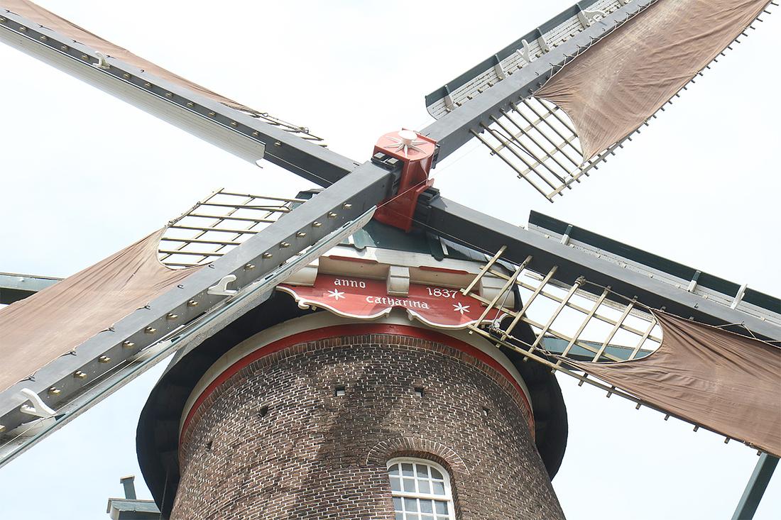 5, Molen 01550 Catharina (Schijndel), Ronald Bakker (122-5-2018) | Database Nederlandse molens