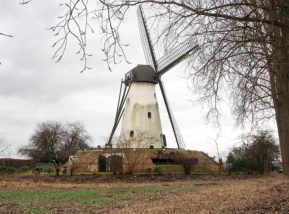 3, Molen 01548 De Genenberg (St. Michielsgestel), Rob Van Rompaey (3-2-2017) | Database Nederlandse molens