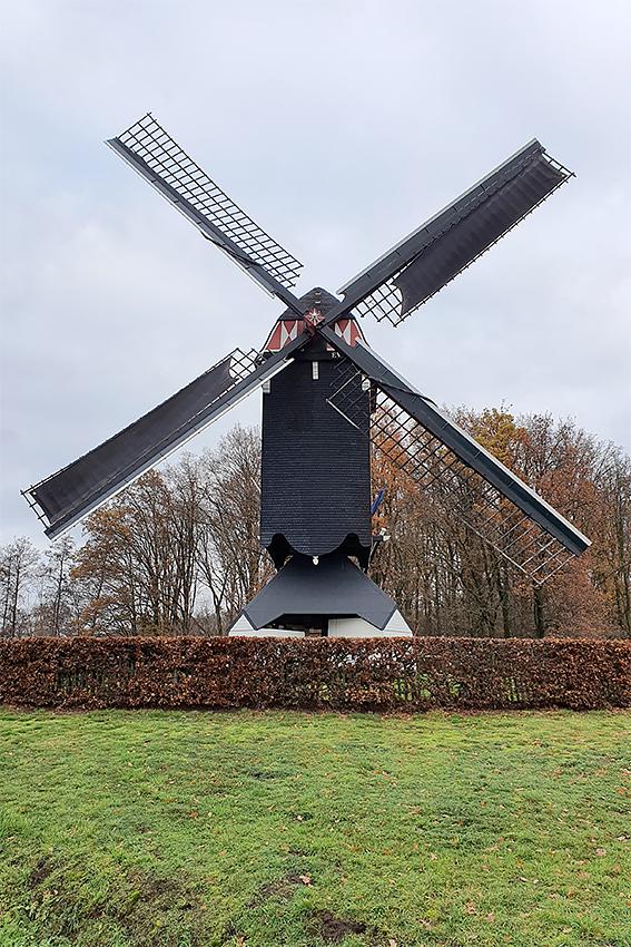 Molen 12217 Den Evert (Someren), Pieter Zuijkerbuijk (7-12-2019) | Database Nederlandse molens