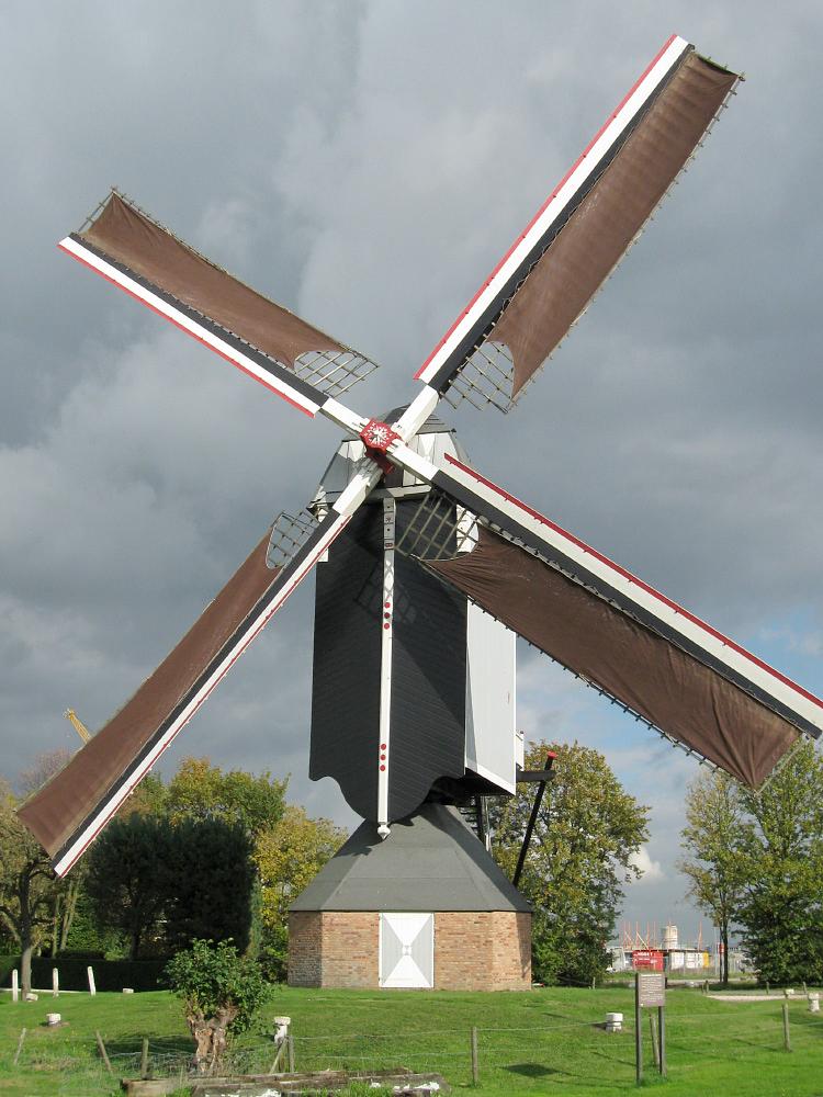 Molen 00376 Dye Sprancke (Sprang-Capelle), Machiel Treffers (25-10-2008) | Database Nederlandse molens