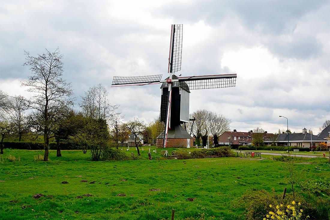 1, Molen 00376 Dye Sprancke (Sprang-Capelle), Roelof Kluijtmans (29-4-2016) | Database Nederlandse molens