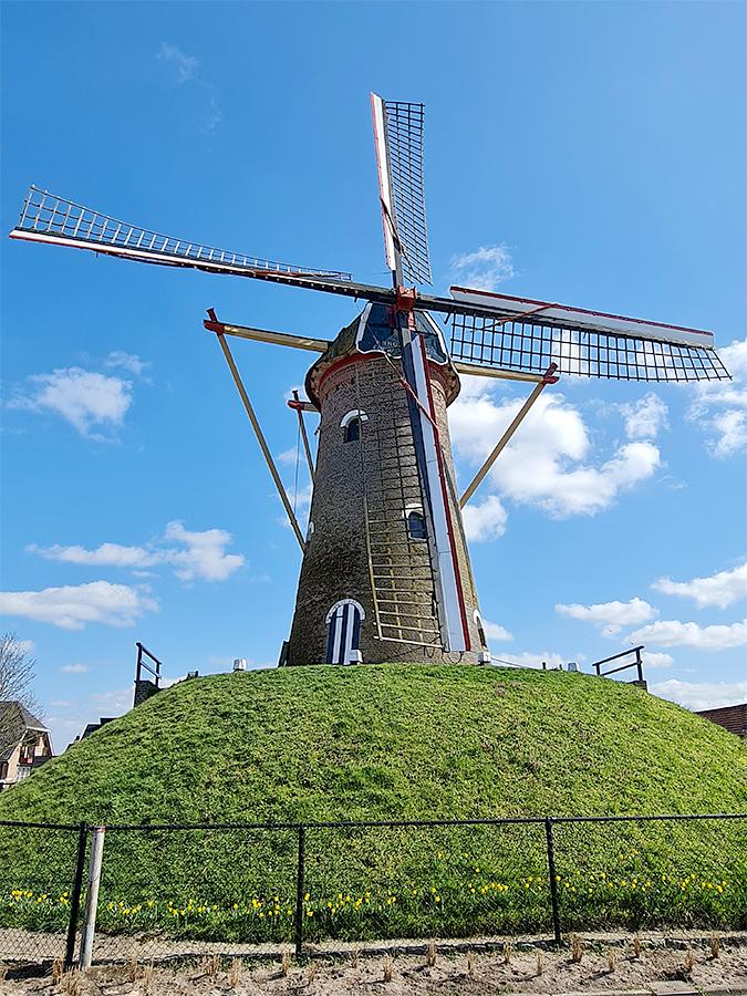 Molen 02654 De Hoop (Sprundel), Pieter Zuijkerbuijk (26-3-2021) | Database Nederlandse molens