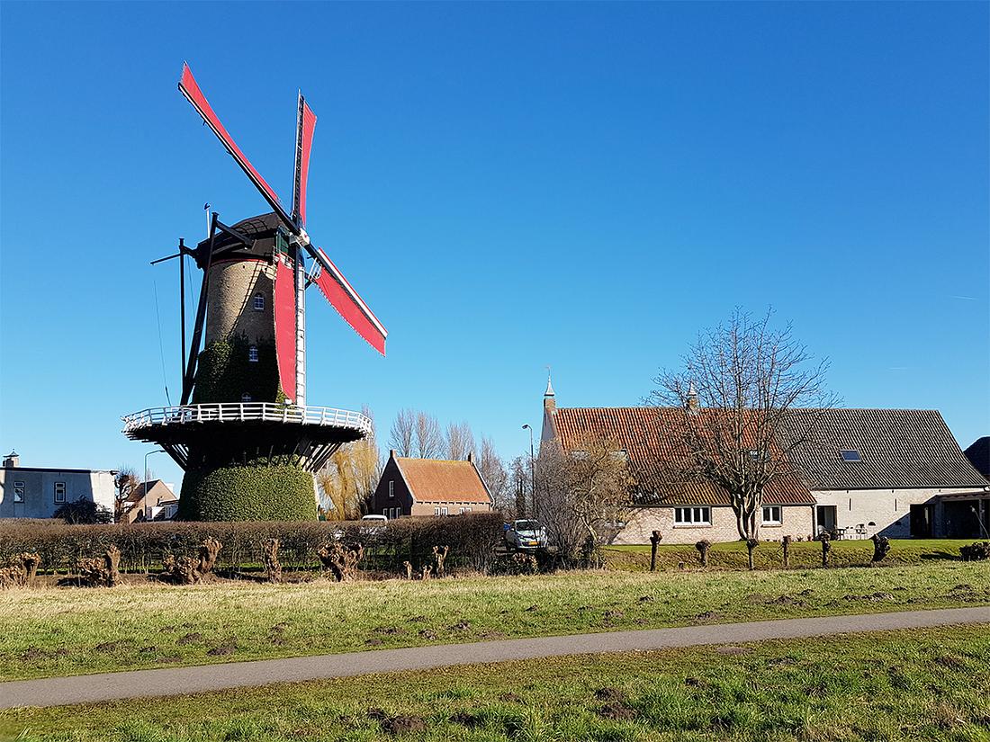 1, Molen 02592 De Arend (Terheijden), Pieter Zuijkerbuijk (15-2-2019) | Database Nederlandse molens