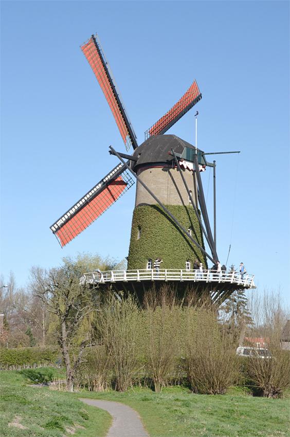 2, Molen 02592 De Arend (Terheijden), Rob Pols (25-3-2012) | Database Nederlandse molens
