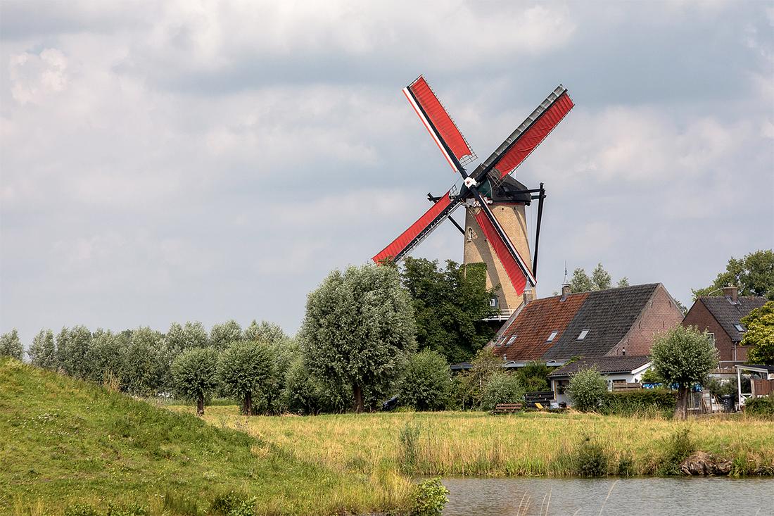 5, Molen 02592 De Arend (Terheijden), Bram van Broekhoven (18-07-2020) | Database Nederlandse molens