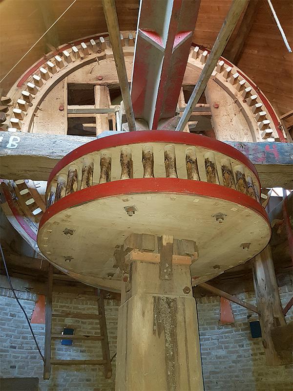 21, Molen 02592 De Arend (Terheijden), Pieter Zuijkerbuijk (15-2-2019) | Database Nederlandse molens