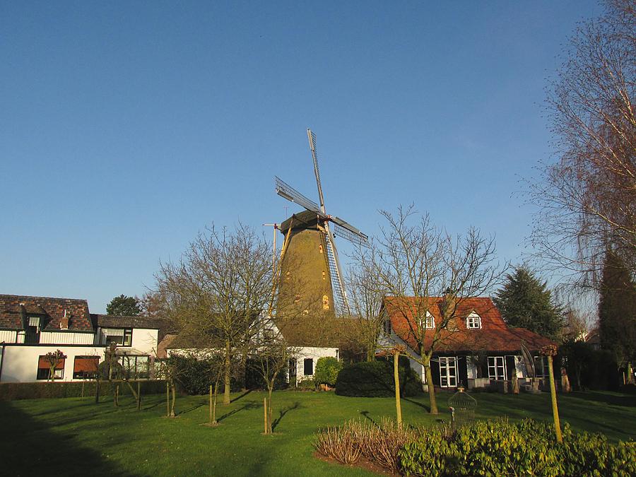 1, Molen 02003 De Korenbloem (Ulvenhout), Piet Glasbergen (9-3-2014).  | Database Nederlandse molens
