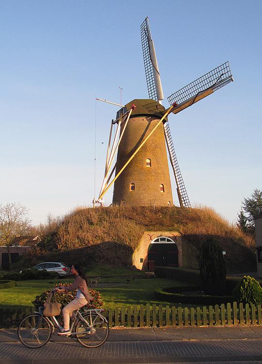 2, Molen 02003 De Korenbloem (Ulvenhout), Piet Glasbergen (9-3-2014) | Database Nederlandse molens