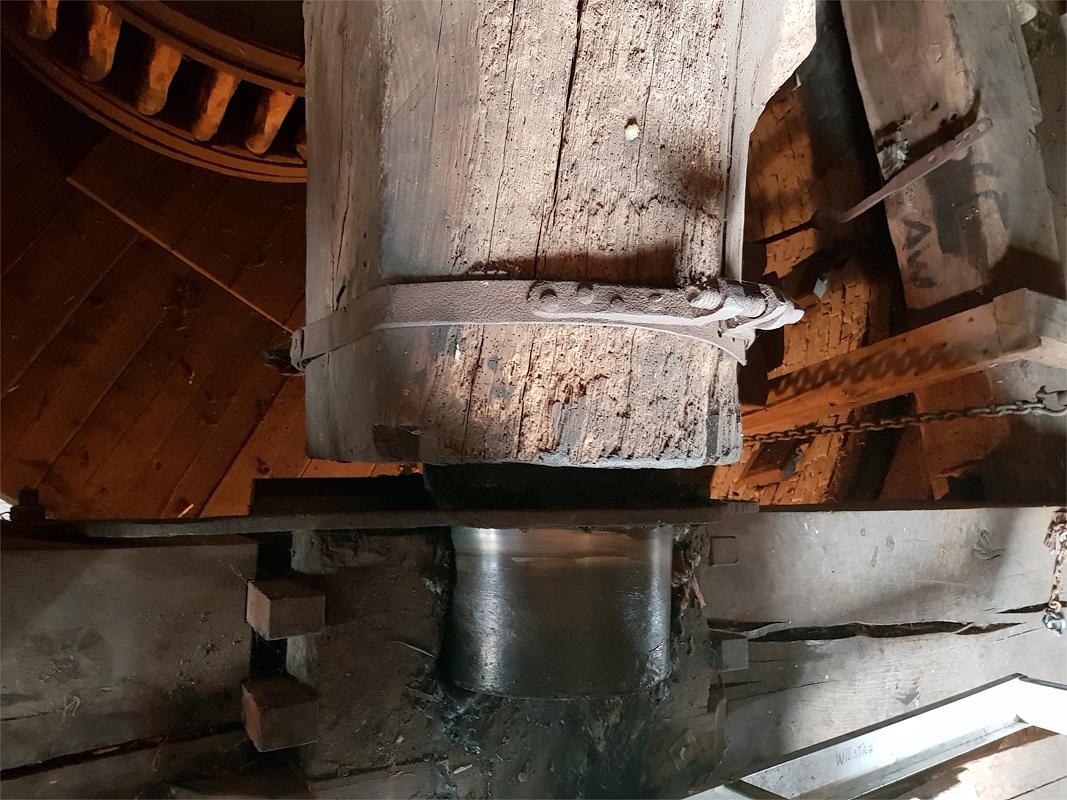 18, Molen 02003 De Korenbloem (Ulvenhout), Pieter Zuijkerbuijk (7-9-2019) | Database Nederlandse molens