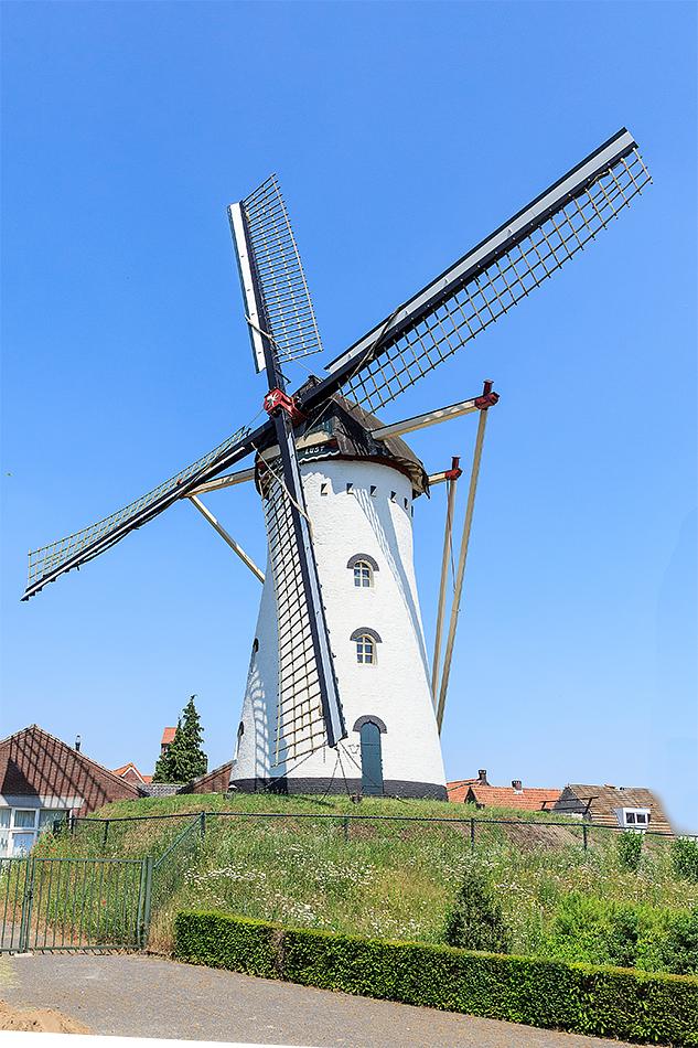 Molen 01931 Windlust (Vorstenbosch), Frank Hendriks (10-6-2021) | Database Nederlandse molens