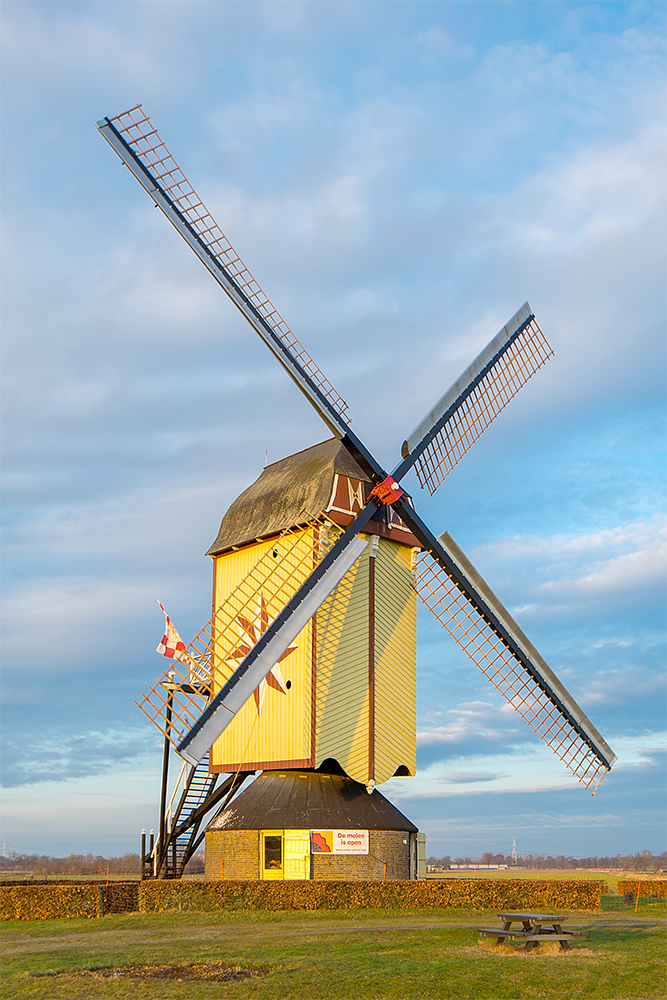 Molen 12219 De Hamse Molen / De Ster (Wanroij), Marcel van Nies (28-1-2017) | Database Nederlandse molens