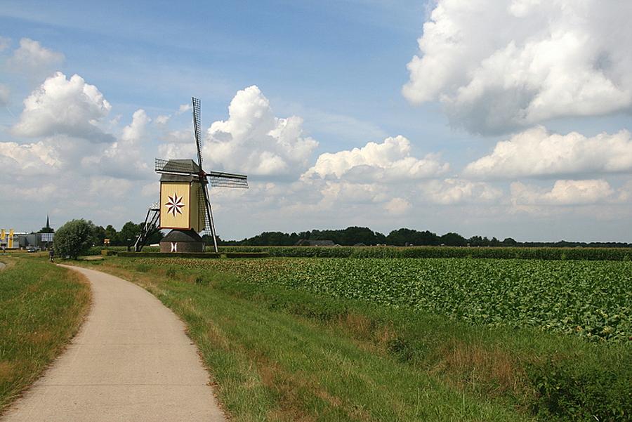 1, Molen 12219 De Hamse Molen / De Ster (Wanroij), John Scholte (29-7-2013). | Database Nederlandse molens