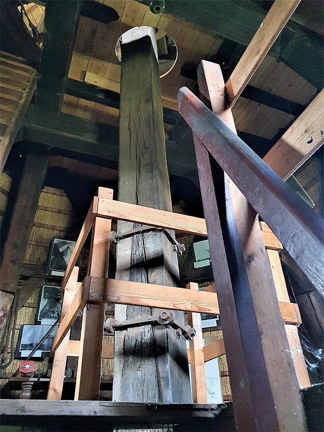 17, Molen 01202 Vervoornemolen (Werkendam), Pieter Zuijkerbuijk (19-6-2020) | Database Nederlandse molens