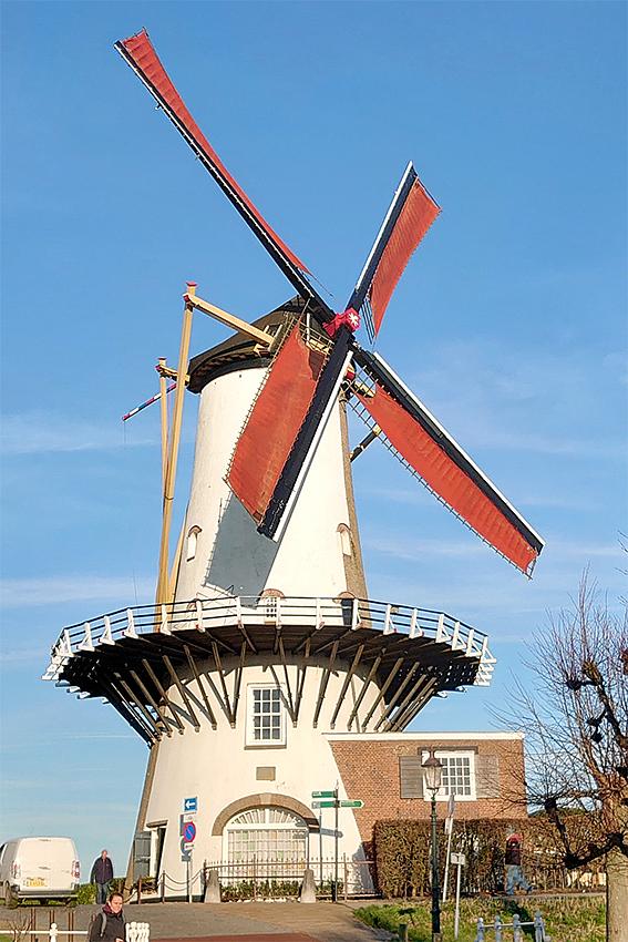 Molen 01864 D'Orangemolen (Willemstad), Marijn Kaufman (6-1-2020) | Database Nederlandse molens