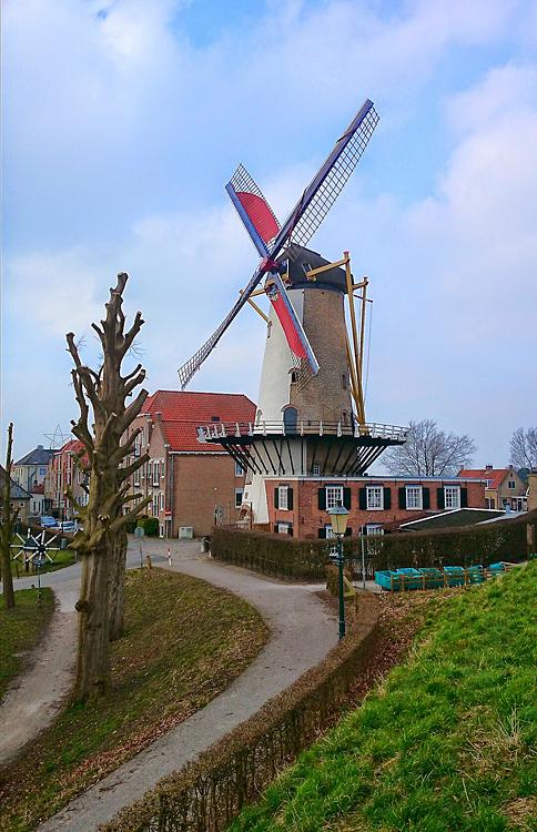 3, Molen 01864 D'Orangemolen (Willemstad), Marijn Kaufman (19-2-2015)Omdat de bomen op het zuiden grondig zijn gesnoeid, is een foto vanuit deze hoek weer mogelijk. | Database Nederlandse molens