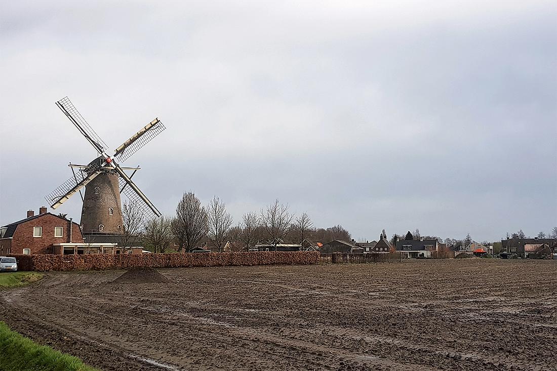 5, Molen 00708 De Arend (Wouw), Pieter Zuijkerbuijk (9-3-2019) | Database Nederlandse molens