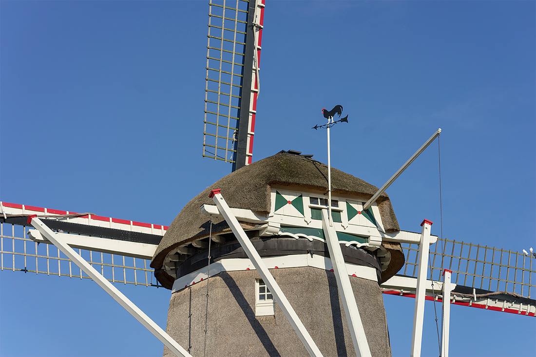 8, Molen 01587 Maria-Antoinette (Deurne), Marcel van Nies (10-9-2017) | Database Nederlandse molens