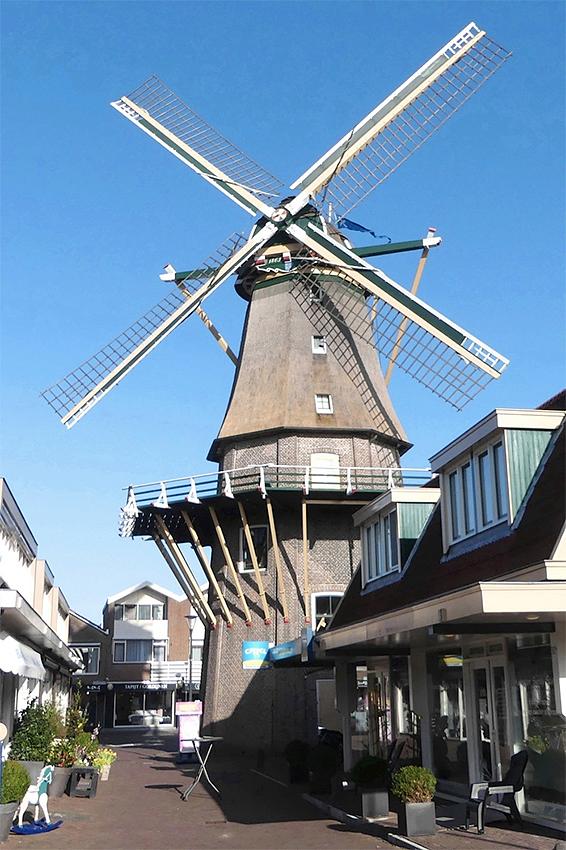 Molen 00969 De Leeuw (Aalsmeer), Piet Glasbergen (9-3-2019) | Database Nederlandse molens