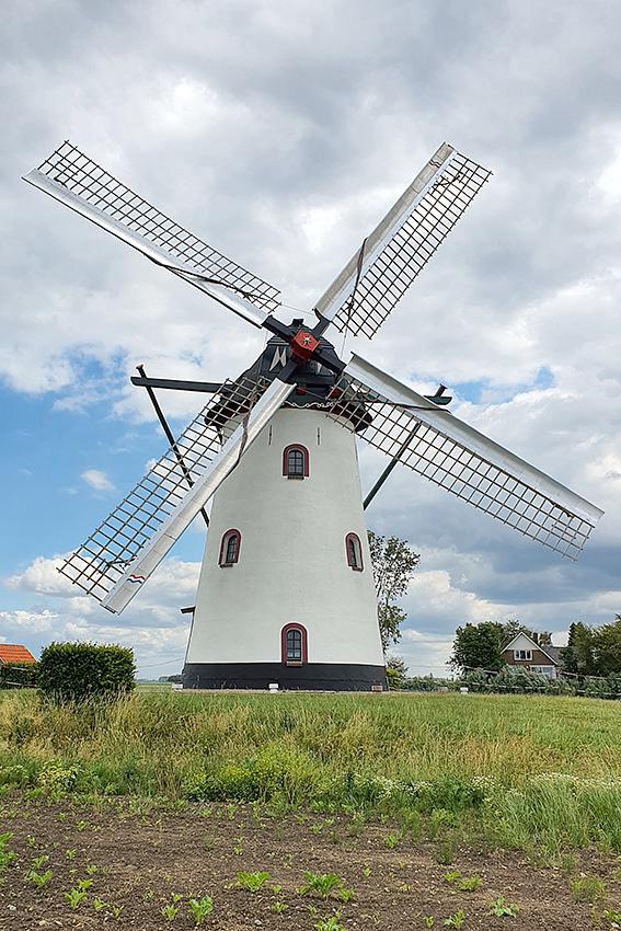 Molen 12197 De Witte Molen (Meeuwen), Pieter Zuijkerbuijk (6-6-2020) | Database Nederlandse molens