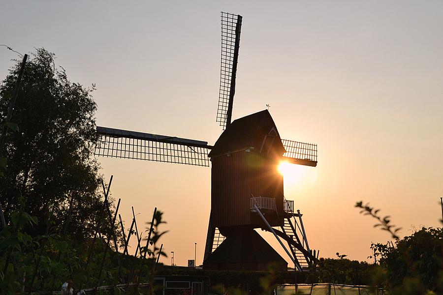 5, Molen 02525 (Naamloos) (Moergestel), Rob Pols (25-7-2012) | Database Nederlandse molens